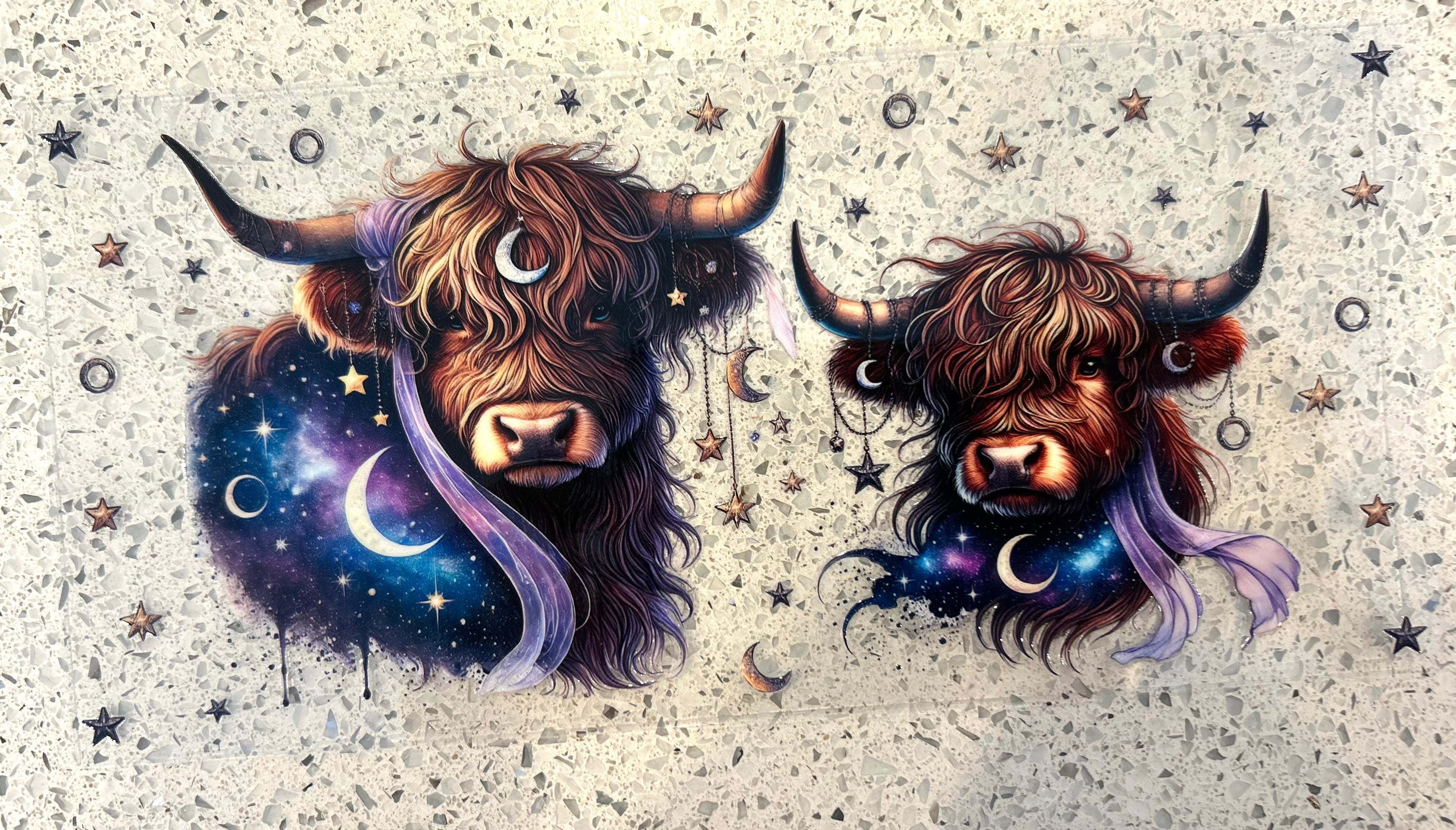 Stars moons , and cows