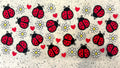 Lady bugs