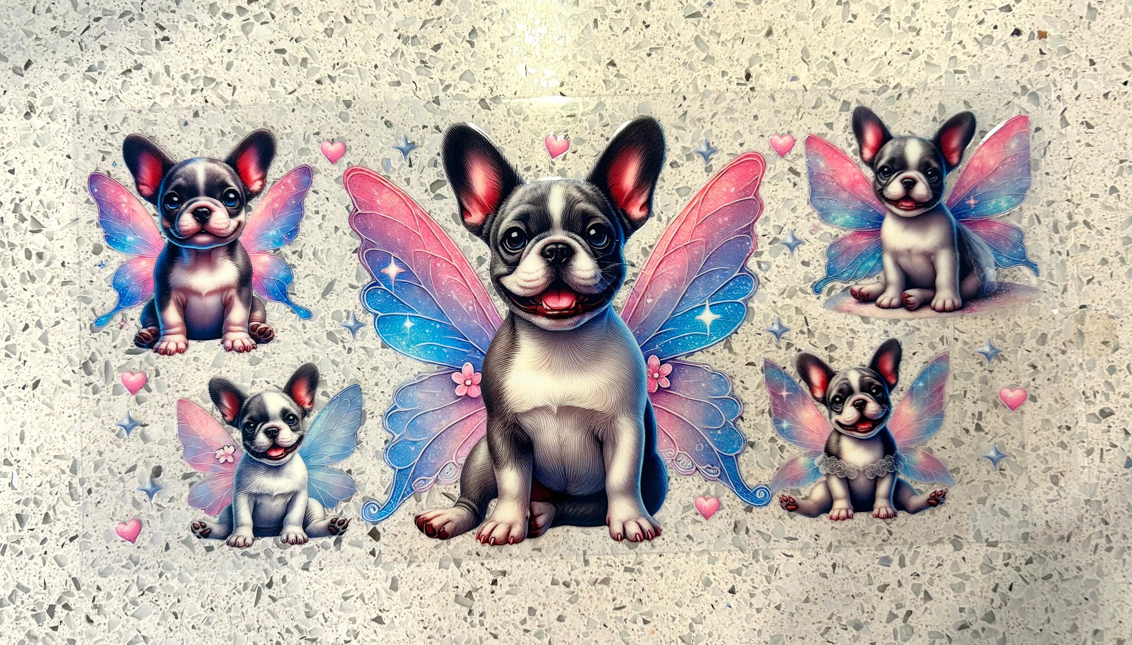 French bulldog