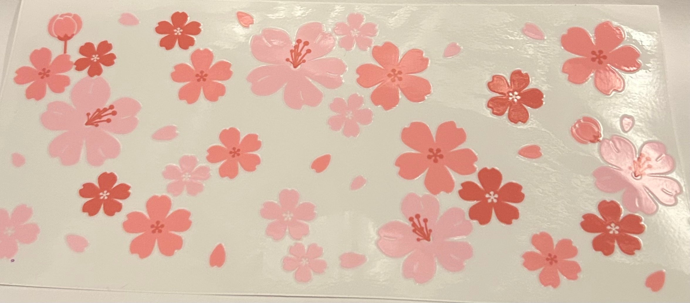 Pink and Coral Flowers